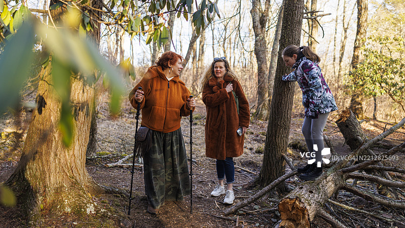 几代人探索波科诺斯荒野。四十多岁的朋友和一个青春期女孩在宾夕法尼亚州奥斯丁·T·布雷克斯利自然区的早春散步中观察树木。图片素材