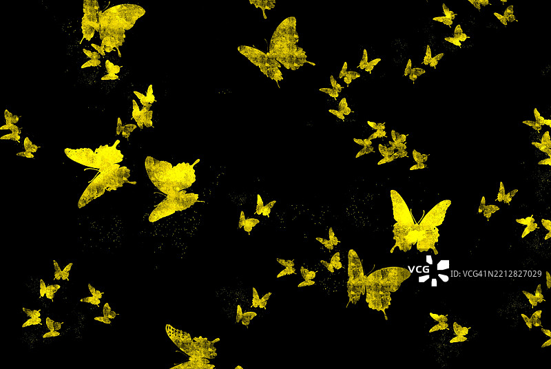 黑色画布上的黄色蝴蝶图案画作图片素材