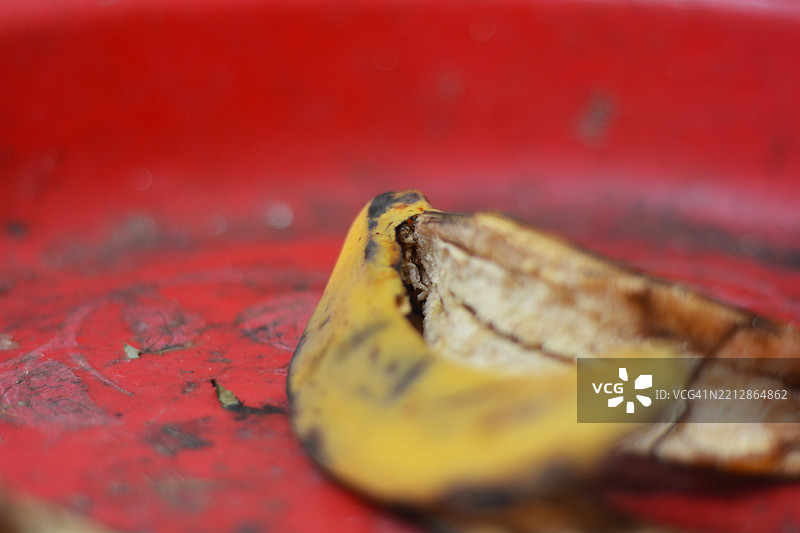 香蕉皮废物图片素材