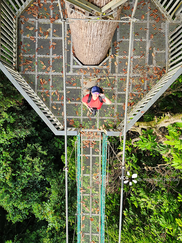 在沙巴拉哈德杜的丹南谷热带雨林中，树冠上的女人图片素材