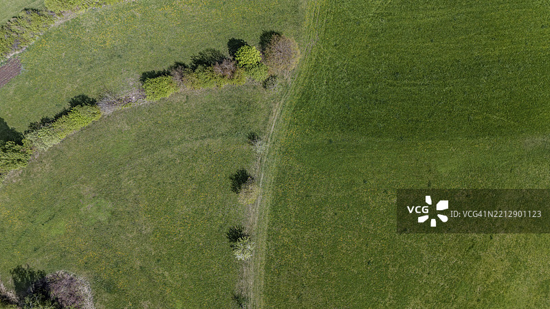 春天的清新气息在罗斯贝格、米尔塔赫，上巴伐利亚的绿色田野和树木的鸟瞰图中得以体现。图片素材