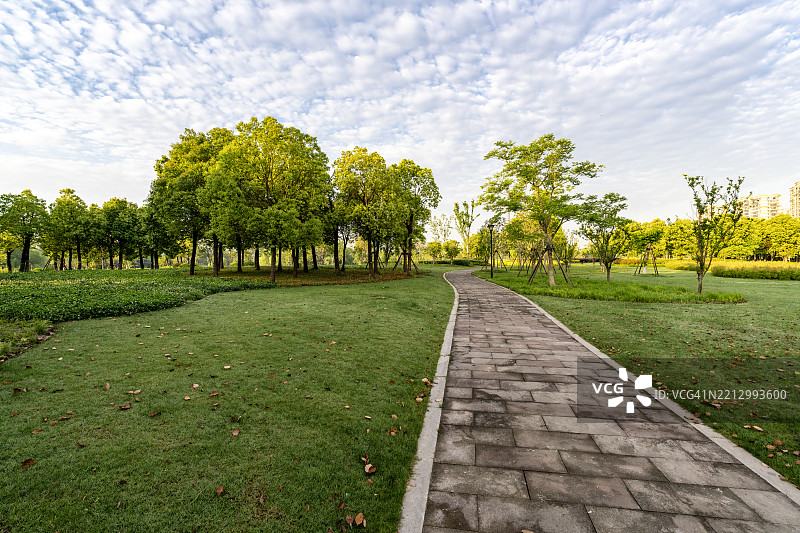 笔直的人行道通向树木成行的地平线图片素材