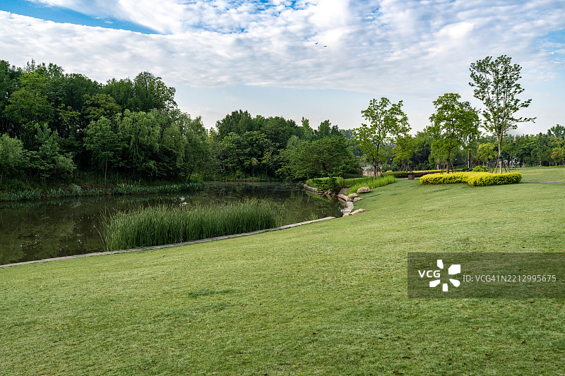宁静的河边花园，盛开着黄色花坛图片素材
