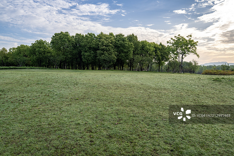黄昏时分的林荫草地图片素材