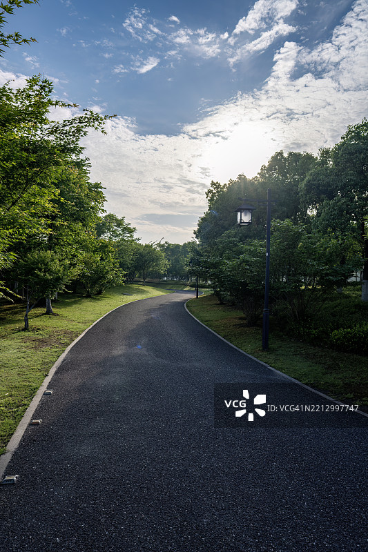 清晨阳光照耀下的森林小径图片素材