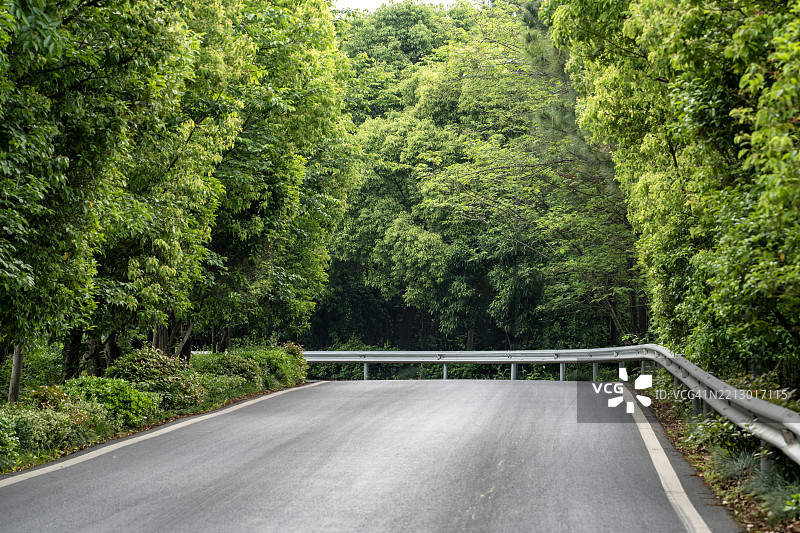 阴影中的道路尽头是森林障碍图片素材