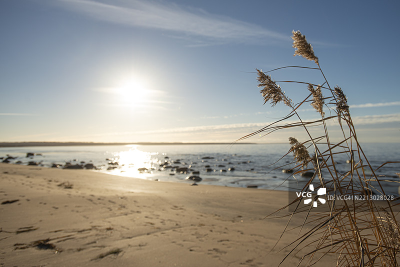 阳光照耀的波罗的海海滩 - 爱沙尼亚拉赫马国家公园的黄昏光线图片素材