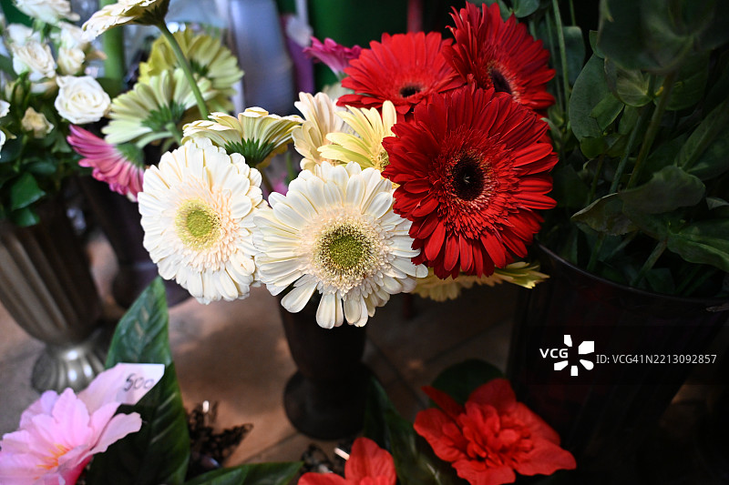 非常漂亮的彩色玫瑰花特写视图图片素材