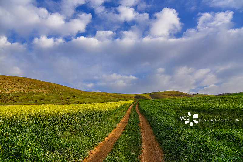 农业田野与天空的美丽景色图片素材