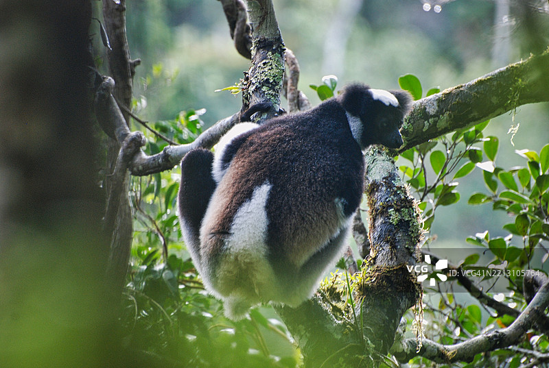 将时间视为生活中最深刻的组织原则图片素材