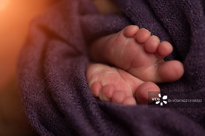 新生儿的脚在紫色背景上，选择性对焦图片素材