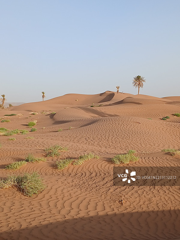 沙漠与晴朗天空的景观图片素材