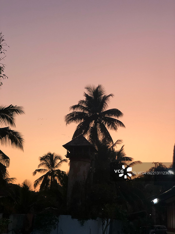 日落时分，印度喀拉拉邦海边的棕榈树剪影与天空相映成趣。图片素材