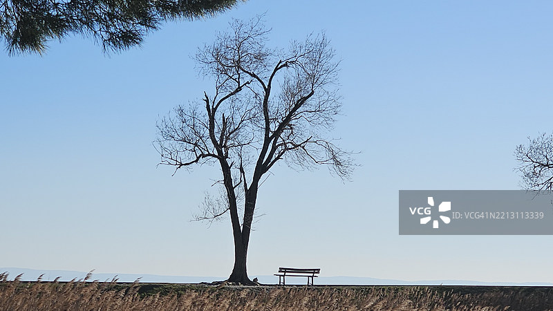 意大利戈里齐亚省清澈蓝天下的田野美景图片素材