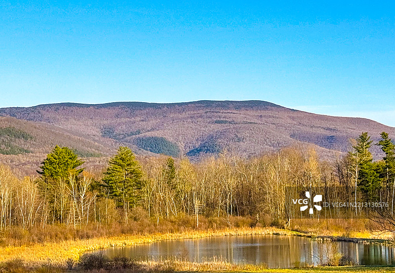 威廉斯敦的池塘、树木和山丘图片素材
