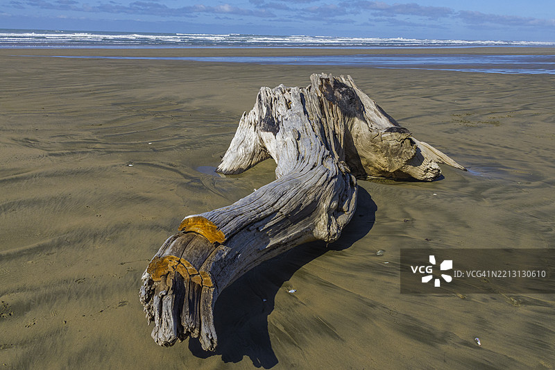 俄勒冈州漂流木海滩州立休闲区的漂流木图片素材