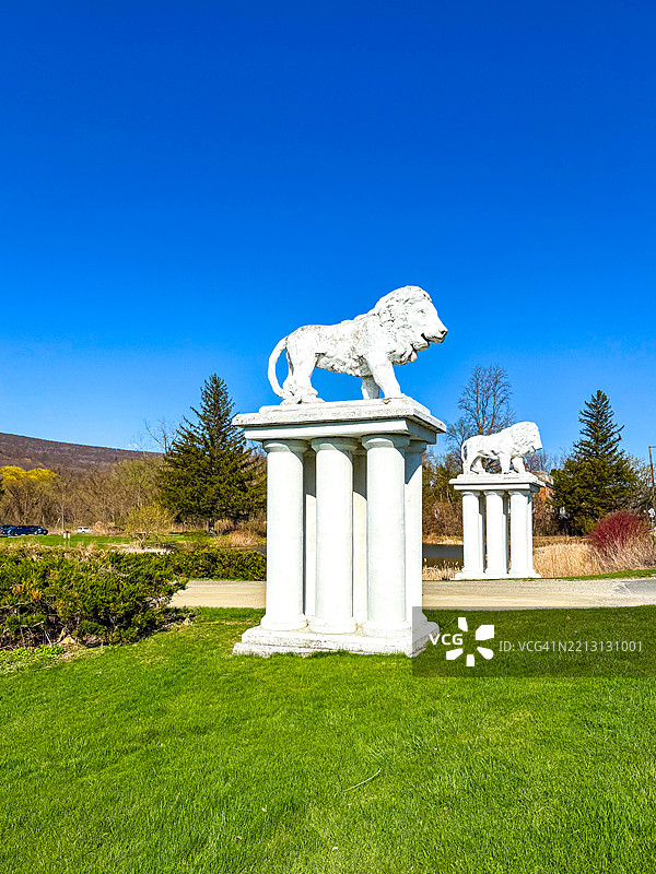 威廉斯敦社区公园柱子上的白色混凝土狮子图片素材