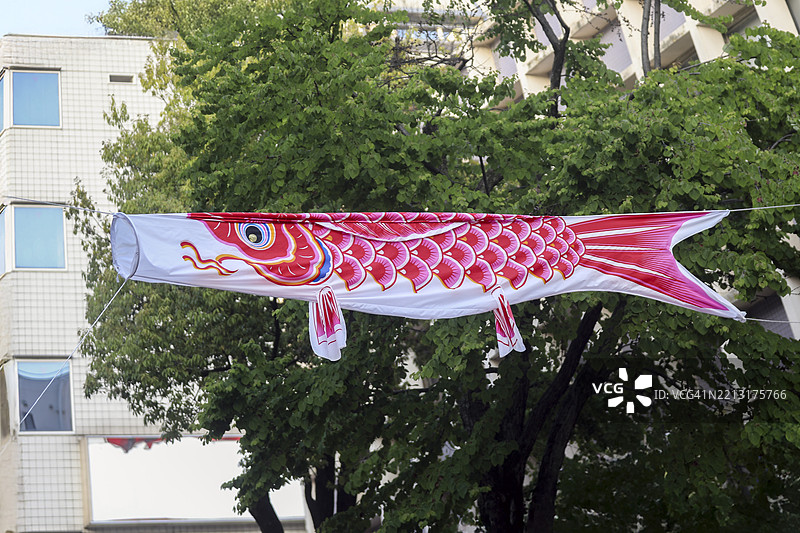 横滨伊势崎商店街的鲤鱼旗图片素材