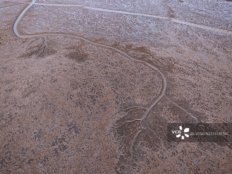 海滩上的树状纹理，退潮时形成图片素材