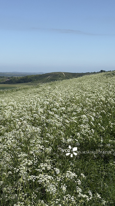 邓斯特布尔高地图片素材