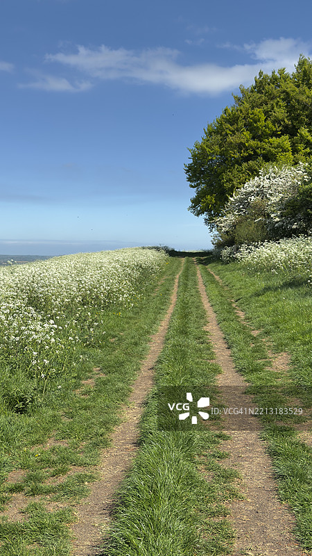 邓斯特布尔地下室图片素材