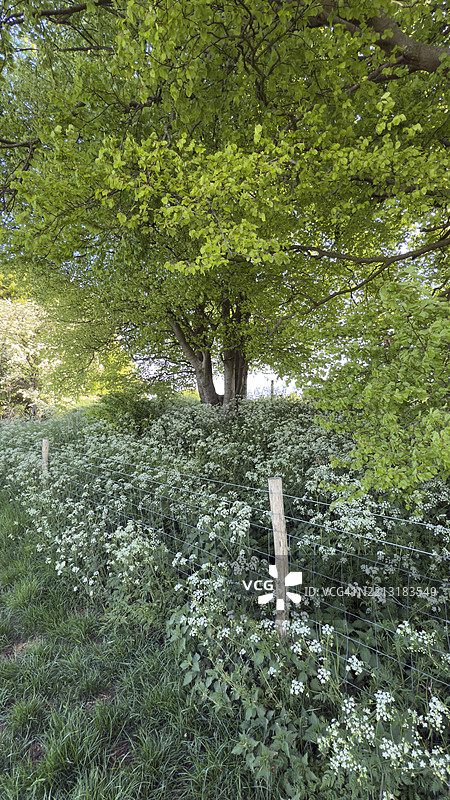 邓斯特布尔地下室图片素材