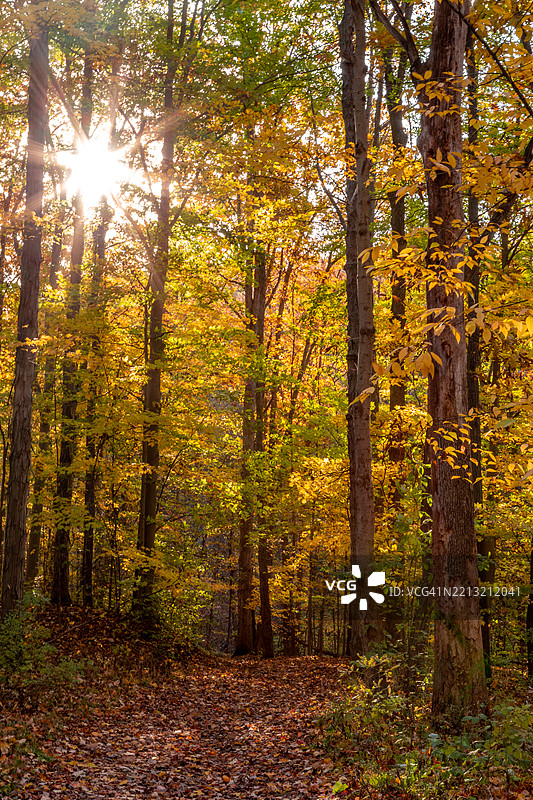 库雅霍加谷国家公园的秋季色彩：瀑布、林地和蜿蜒小径图片素材