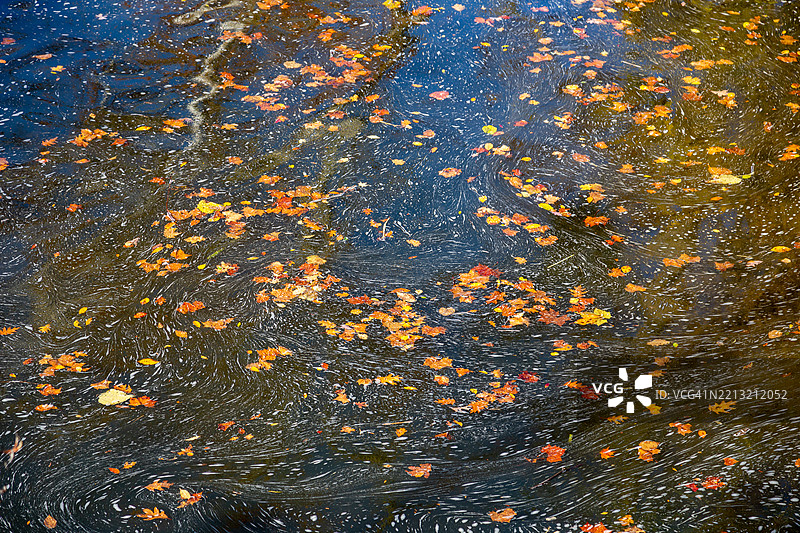 库雅霍加谷国家公园的秋季色彩：瀑布、林地和蜿蜒小径图片素材