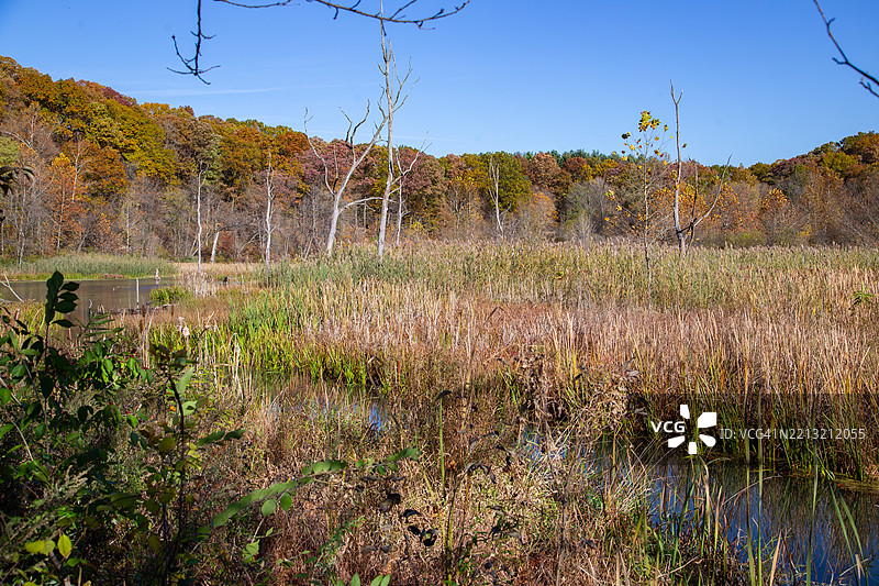 库雅霍加谷国家公园的秋季色彩：瀑布、林地和漫步小径图片素材