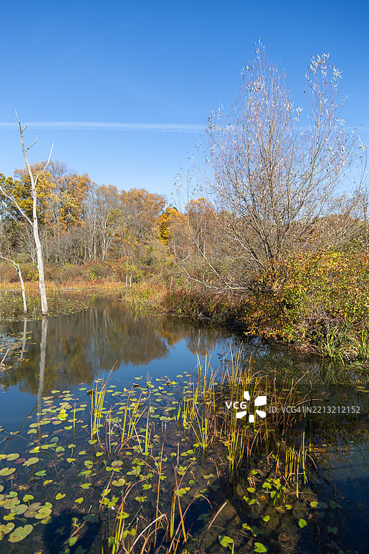 库雅霍加谷国家公园的秋季色彩：瀑布、林地和漫步小径图片素材