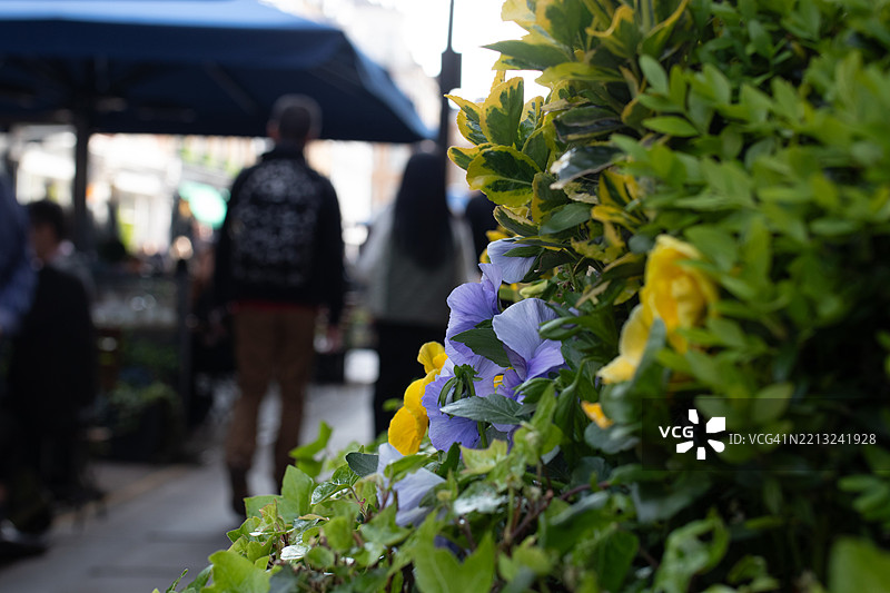 季节的活力图片素材