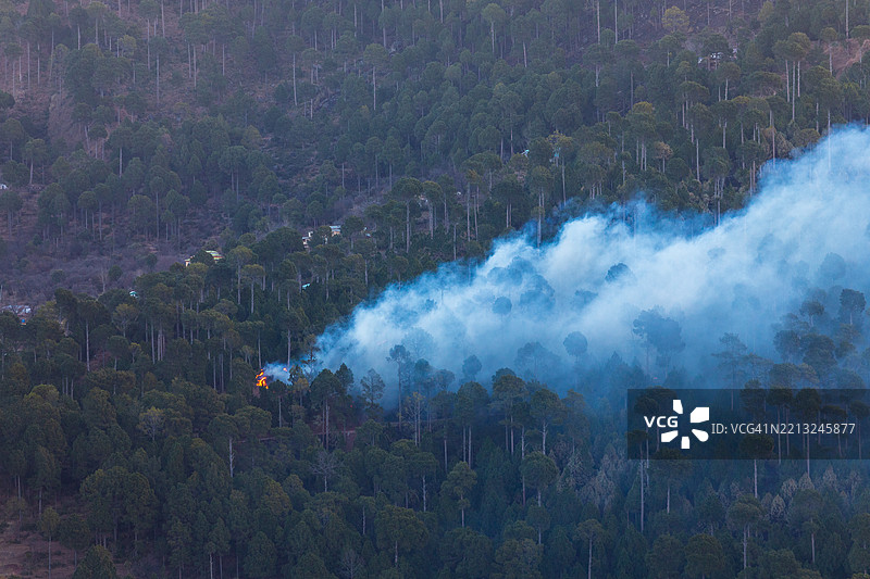 森林大火吞噬了靠近伊斯兰堡穆里附近的树木图片素材