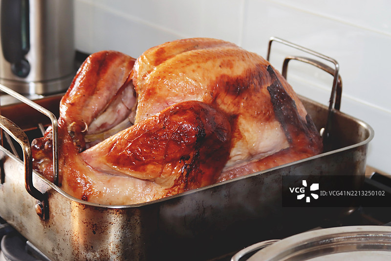 烤火鸡图片素材