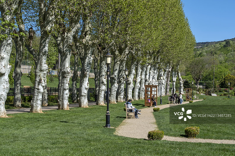 土耳其伊斯坦布尔贝伊科兹玻璃与水晶博物馆花园中的宁静树影图片素材