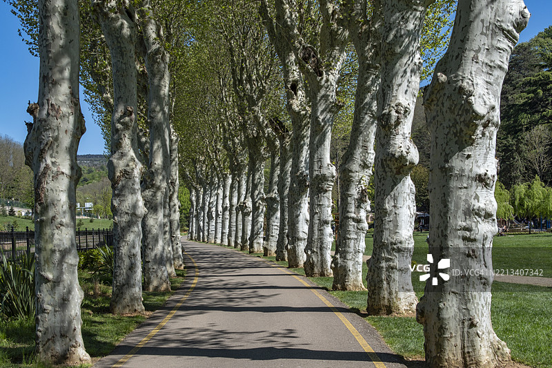土耳其伊斯坦布尔贝伊科兹玻璃与水晶博物馆花园中的宁静树影图片素材