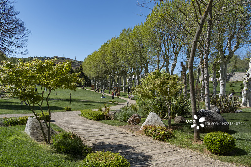 土耳其伊斯坦布尔贝伊科兹玻璃与水晶博物馆花园中的宁静树影图片素材