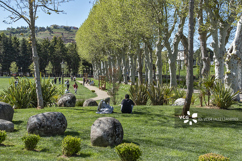土耳其伊斯坦布尔贝伊科兹玻璃与水晶博物馆花园中的宁静树影图片素材