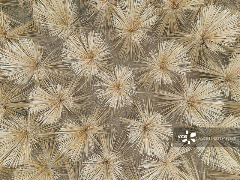 从竹子切割而成的竹条正在晾干，以便制作竹制品，航拍视角。图片素材