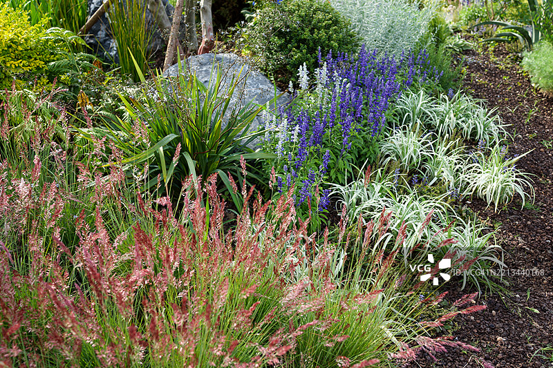 五彩缤纷的多年生花园边界图片素材