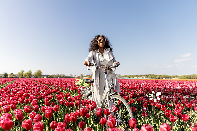 一位美丽的多元文化女性游客在郁金香田中骑自行车图片素材