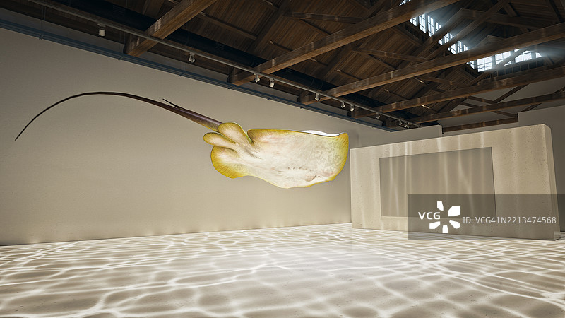 展览区的黄貂鱼 - 超现实主义艺术图片素材