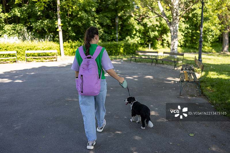 阳光明媚的日子里，年轻女性在公园里牵着她的狗从后面走过图片素材