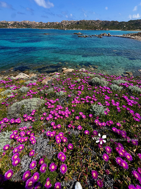 意大利撒丁岛拉马达莱纳群岛的美丽海湾图片素材