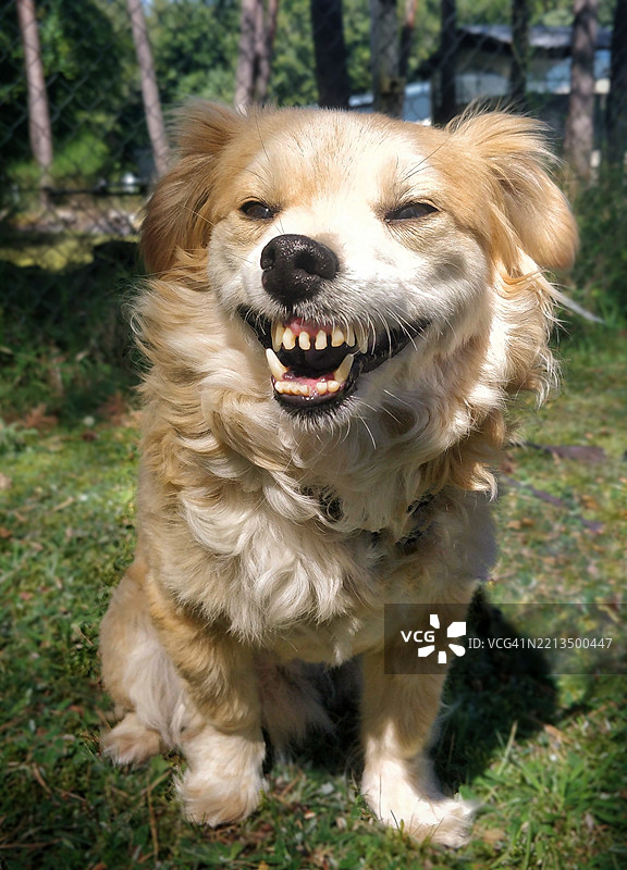 咕噜咕噜！图片素材