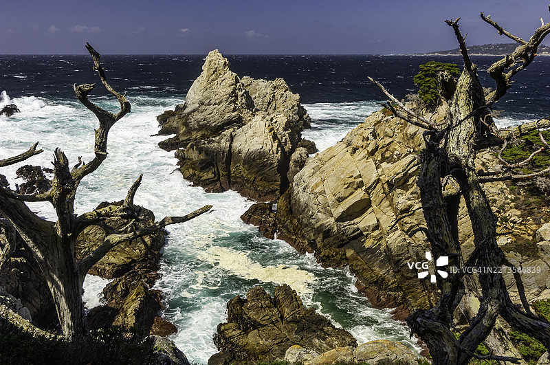 顶峰岩和蒙特雷柏树，杯状柏，洛博斯州立公园，加利福尼亚；圣露西亚花岗闪长岩，太平洋。风景；戏剧性；海浪；景观图片素材