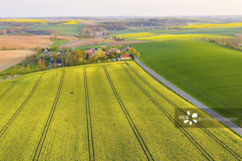 德国萨克森州洛马茨施的伊克维茨和皮斯科维茨的鸟瞰图，盛开的油菜花田图片素材
