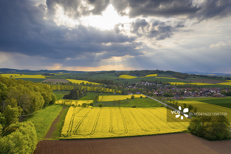 德国下萨克森州杜尔斯塔特的蒂夫廷根罗德，雨中阳光下盛开的油菜花田景观图片素材