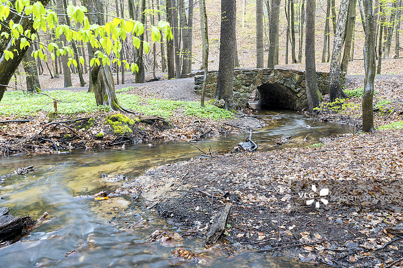 德国萨克森州科斯维希的弗里德瓦尔德，洛克维茨溪旁的古老石拱桥图片素材