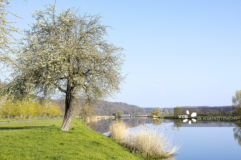 弗赖贝尔格穆尔德河在韦斯特维茨静静流淌，背景是霍赫韦尔，位于德国萨克森州中部萨克森地区，欧洲。图片素材