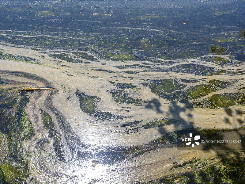 德国下萨克森州布伦瑞克-里达豪森的里达豪森自然保护区池塘水面上的泥土和藻类图片素材